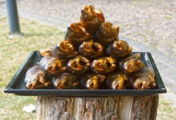 Wörlitzer-Park-034