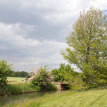 Frühlinghaftes Grün