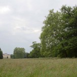 Sichtachse im Wörlitzer Park