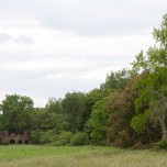 Blick zur Felspartie