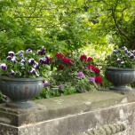 Fähre im Wörlitzer Park